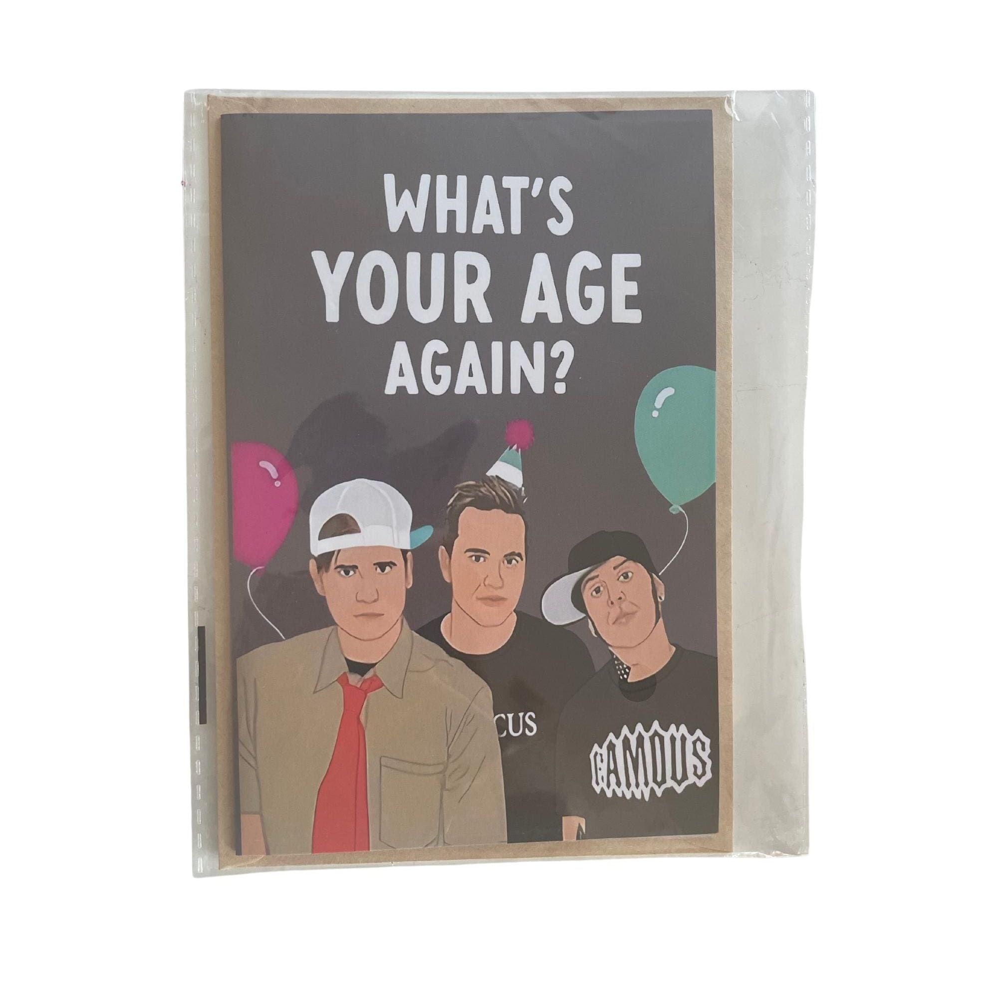 90s Birthday Card, Funny Birthday Card, Millennial Birthday Card, Blink 182 Birthday Card: 90s Themed 'What's Your Age Again?'
